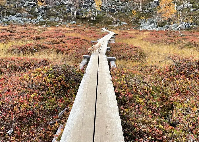 Lakeside Vinkka Апартаменты *